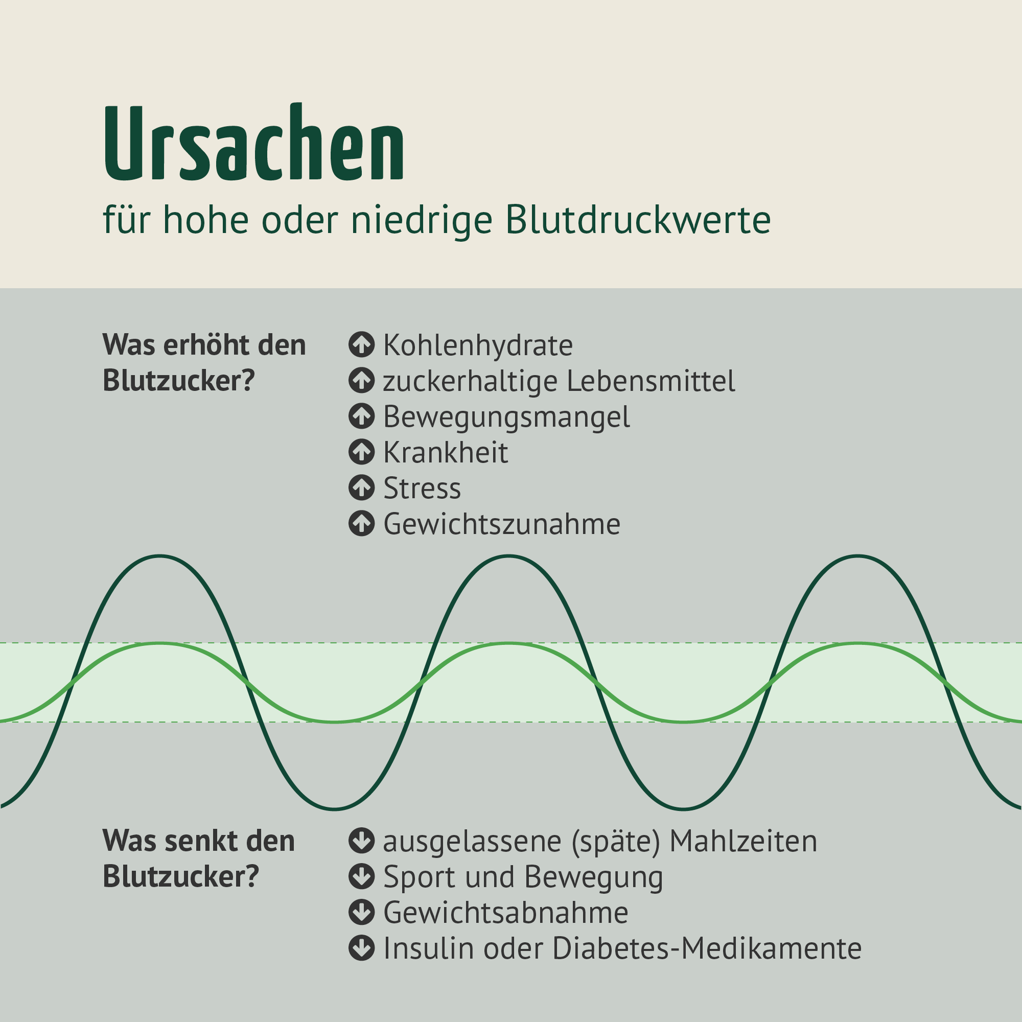 Blutzucker Komplex (120 Kapseln)