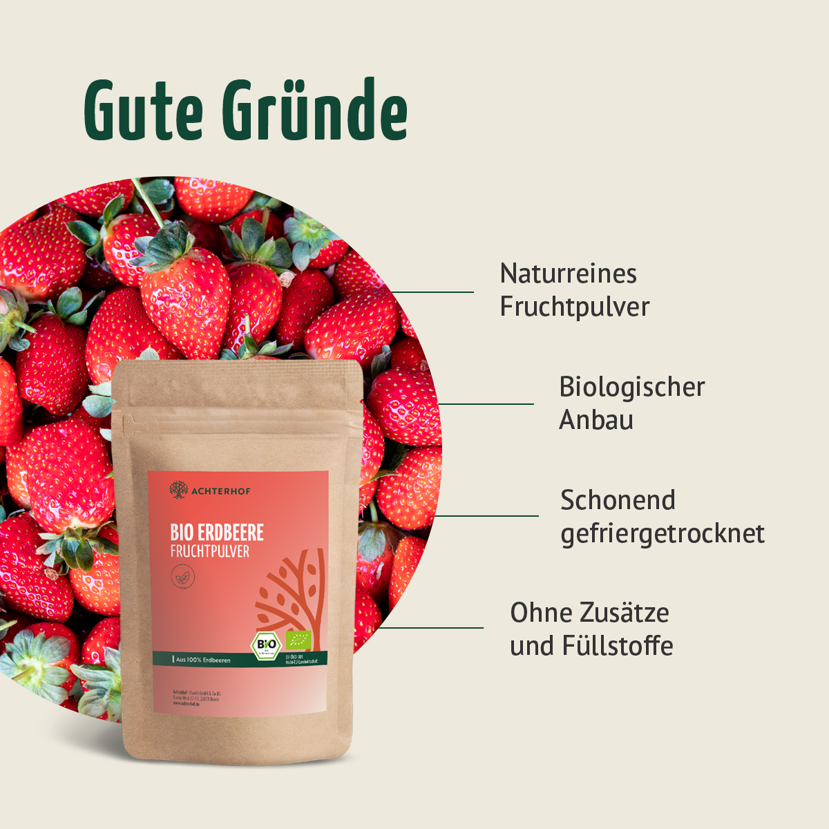 Bio Erdbeere Fruchtpulver (250g)