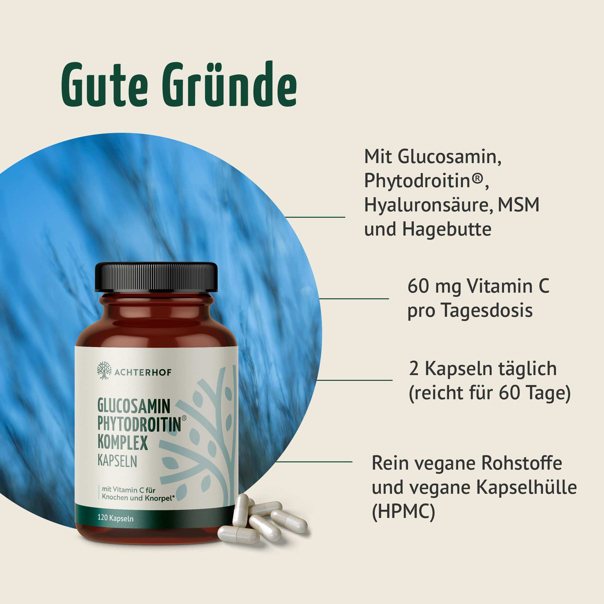 Glucosamin Phytodroitin® Komplex (120 Kapseln)