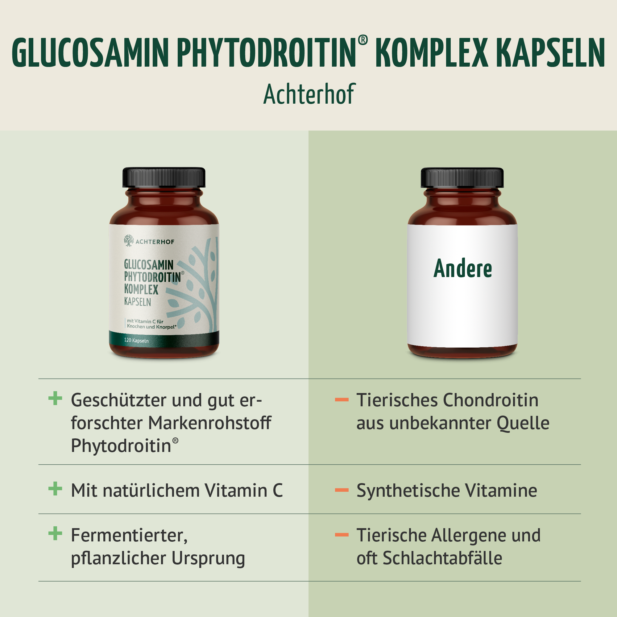 Glucosamin Phytodroitin® Komplex (120 Kapseln)