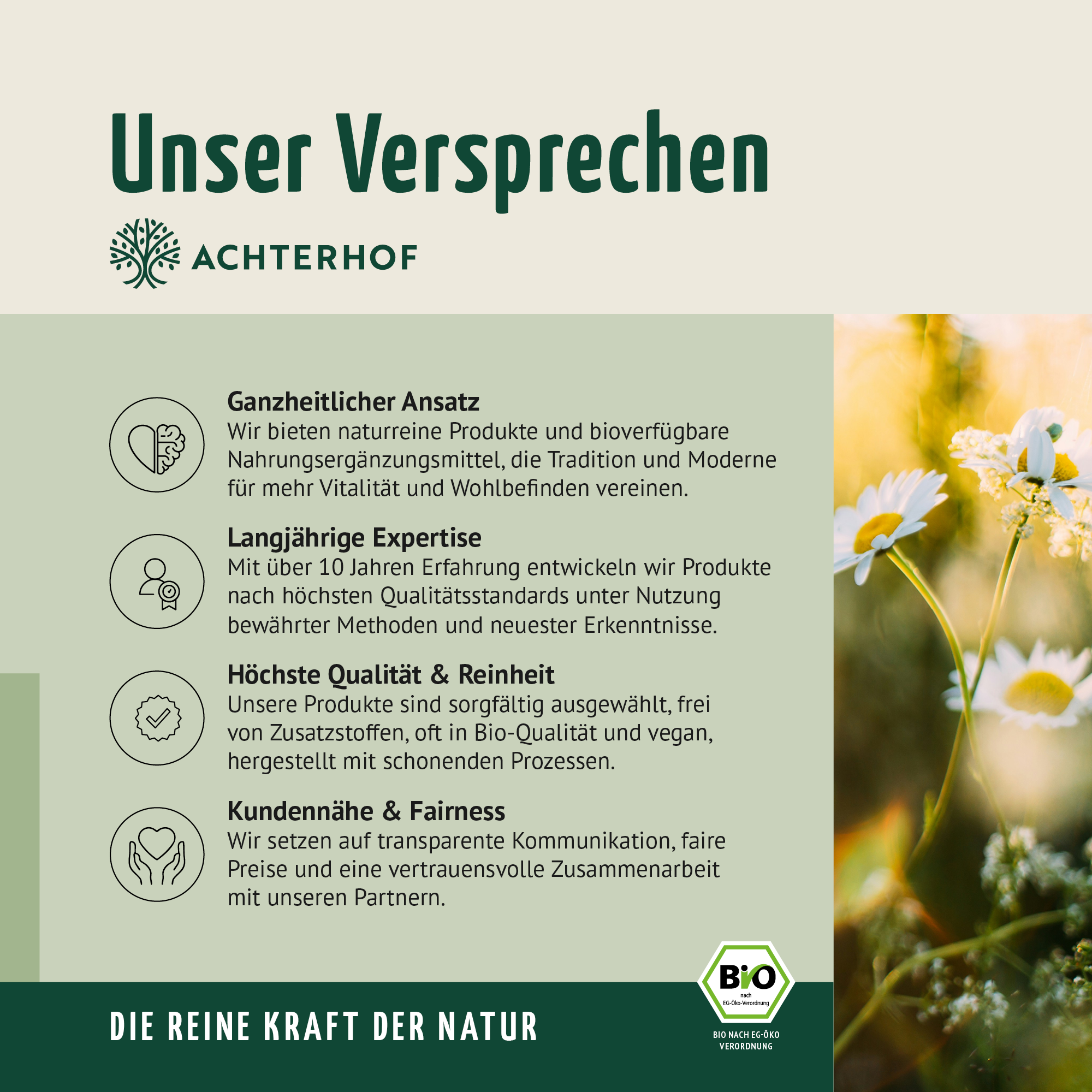 Bio Hagebutten Pulver (50g)
