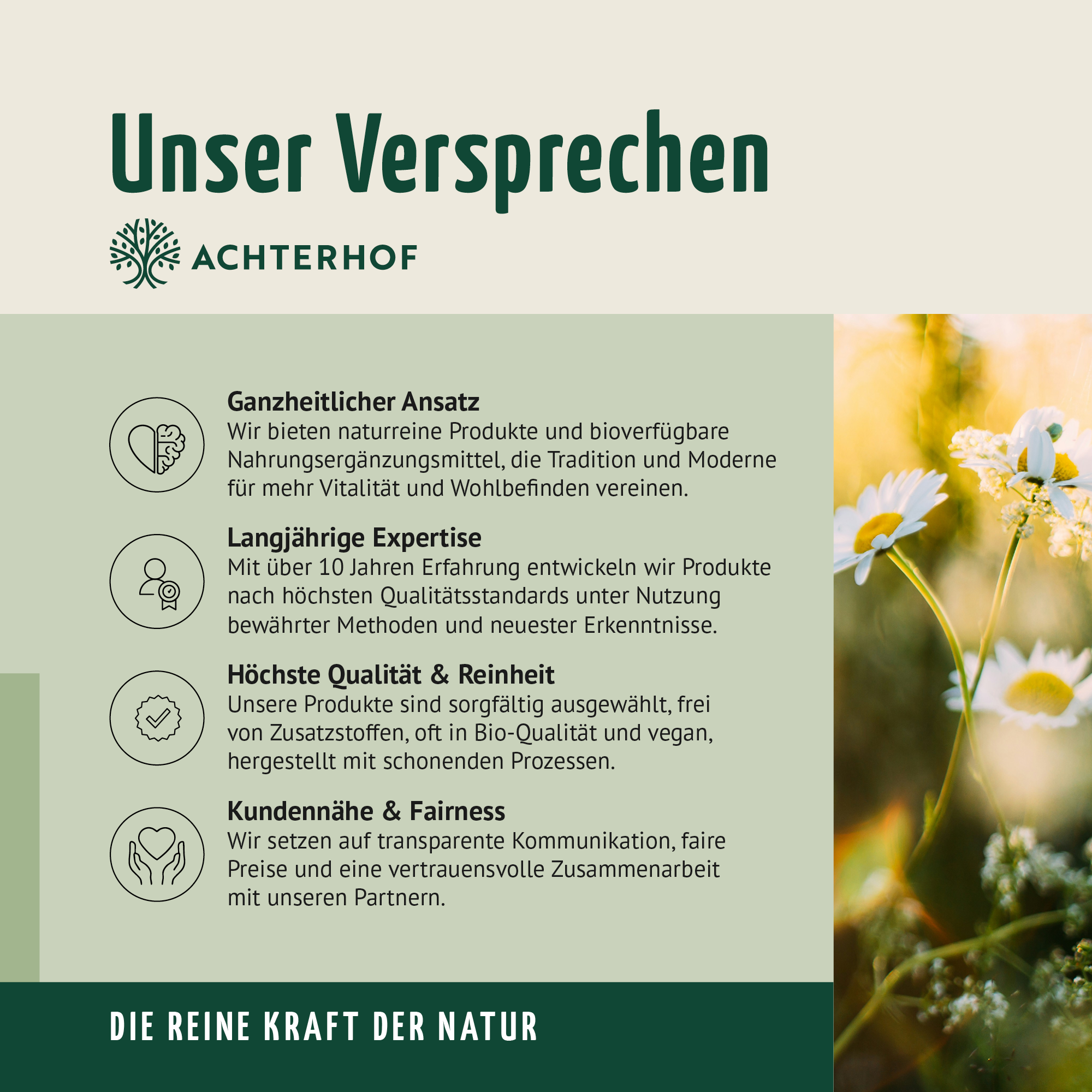 Veganes Protein Pulver (250g)