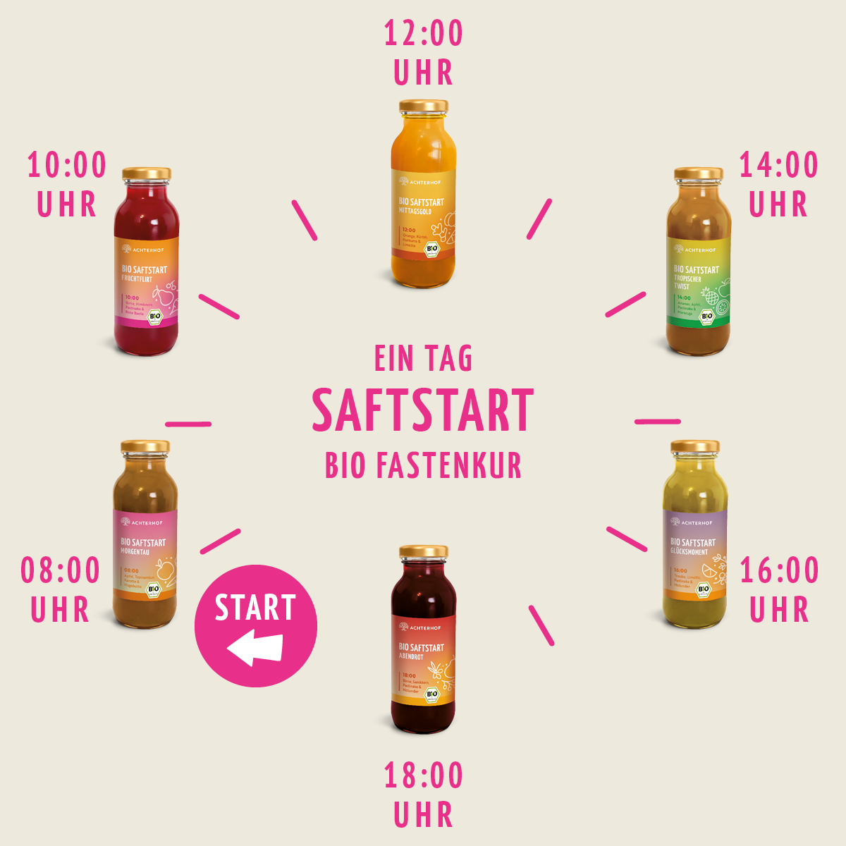 Saftstart Bio Fastenkur 5 Tage (30 Flaschen)