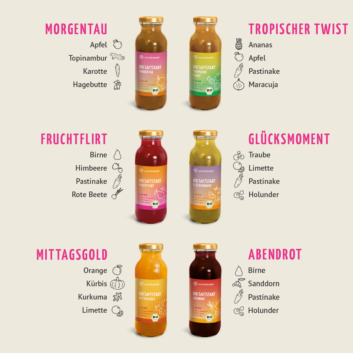 Saftstart Bio Fastenkur 7 Tage (42 Flaschen)