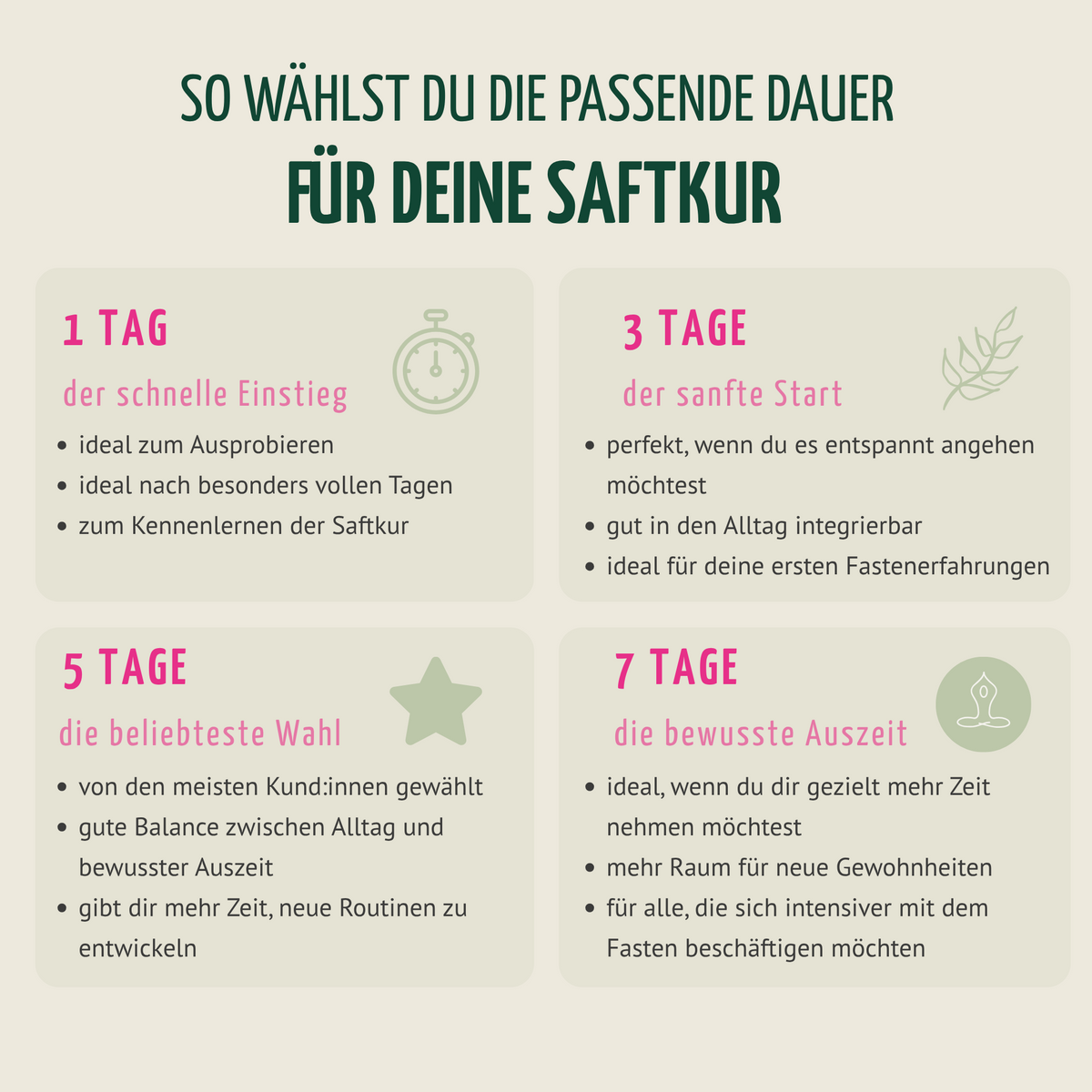 Saftstart Bio Fastenkur 3 Tage (18 Flaschen)