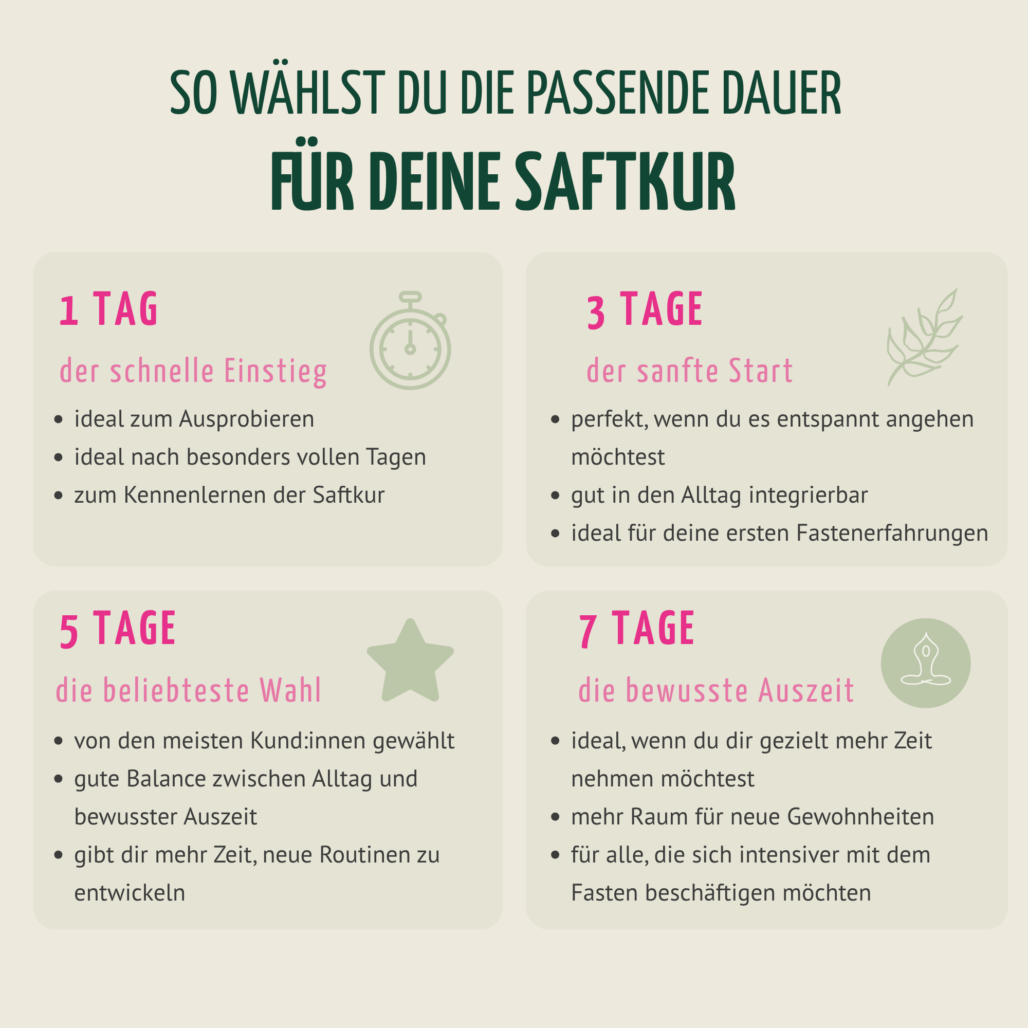 Saftstart Bio Fastenkur 7 Tage (42 Flaschen)