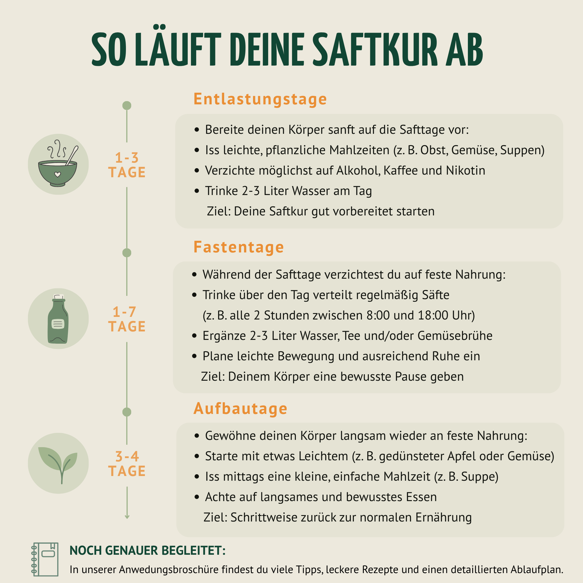 Saftzeit Bio Fastenkur 3 Tage (18 Flaschen)