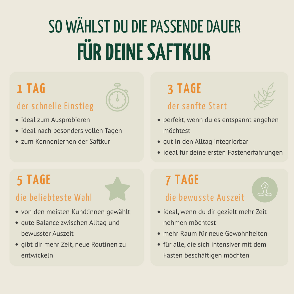 Saftzeit Bio Fastenkur 3 Tage (18 Flaschen)