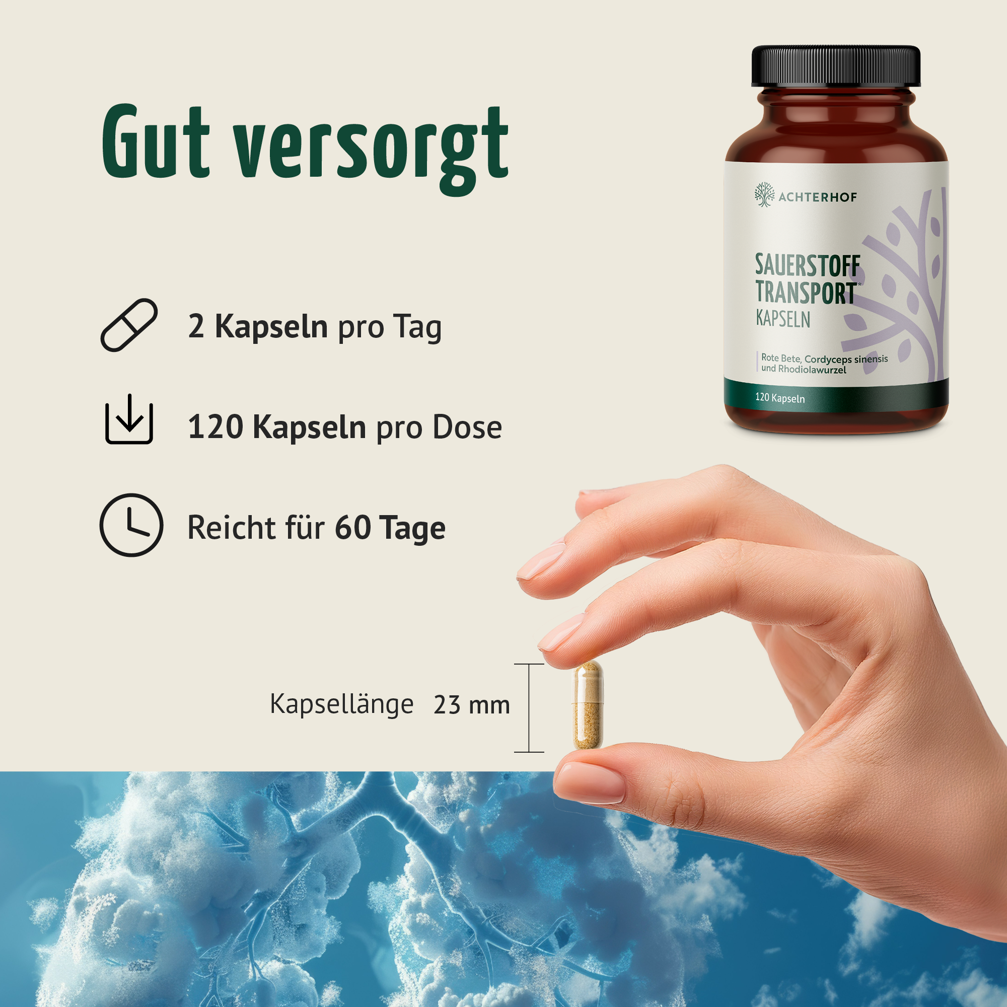 Sauerstoff Transport Kapseln (120 Kapseln)