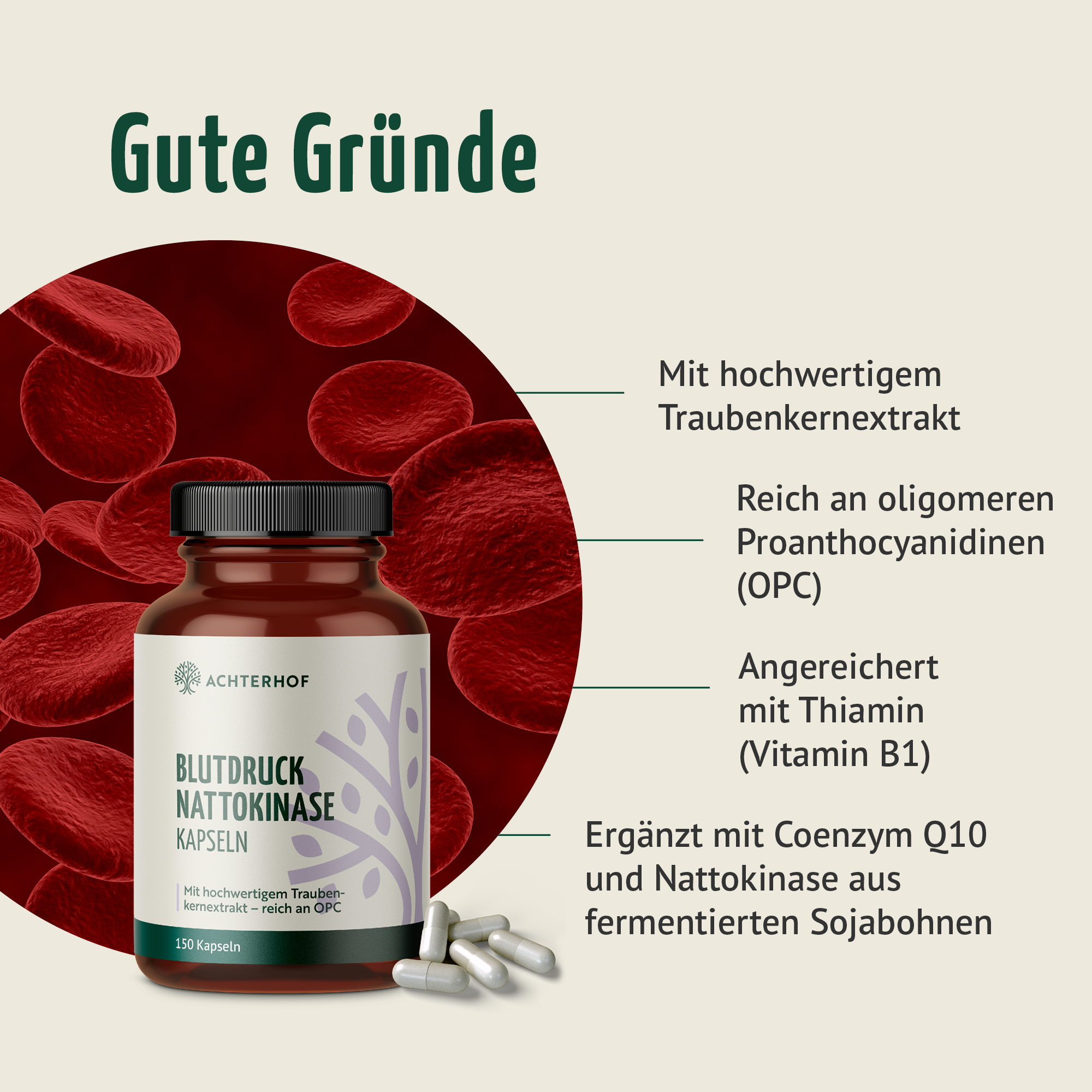 Blutdruck Nattokinase Kapseln (150 Kapseln)