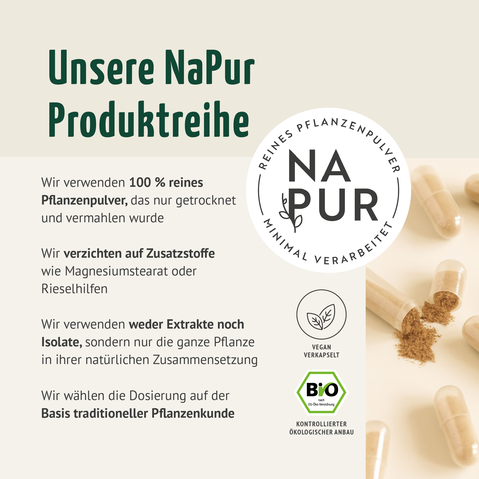Bio Ingwer Kapseln (160 Kapseln)