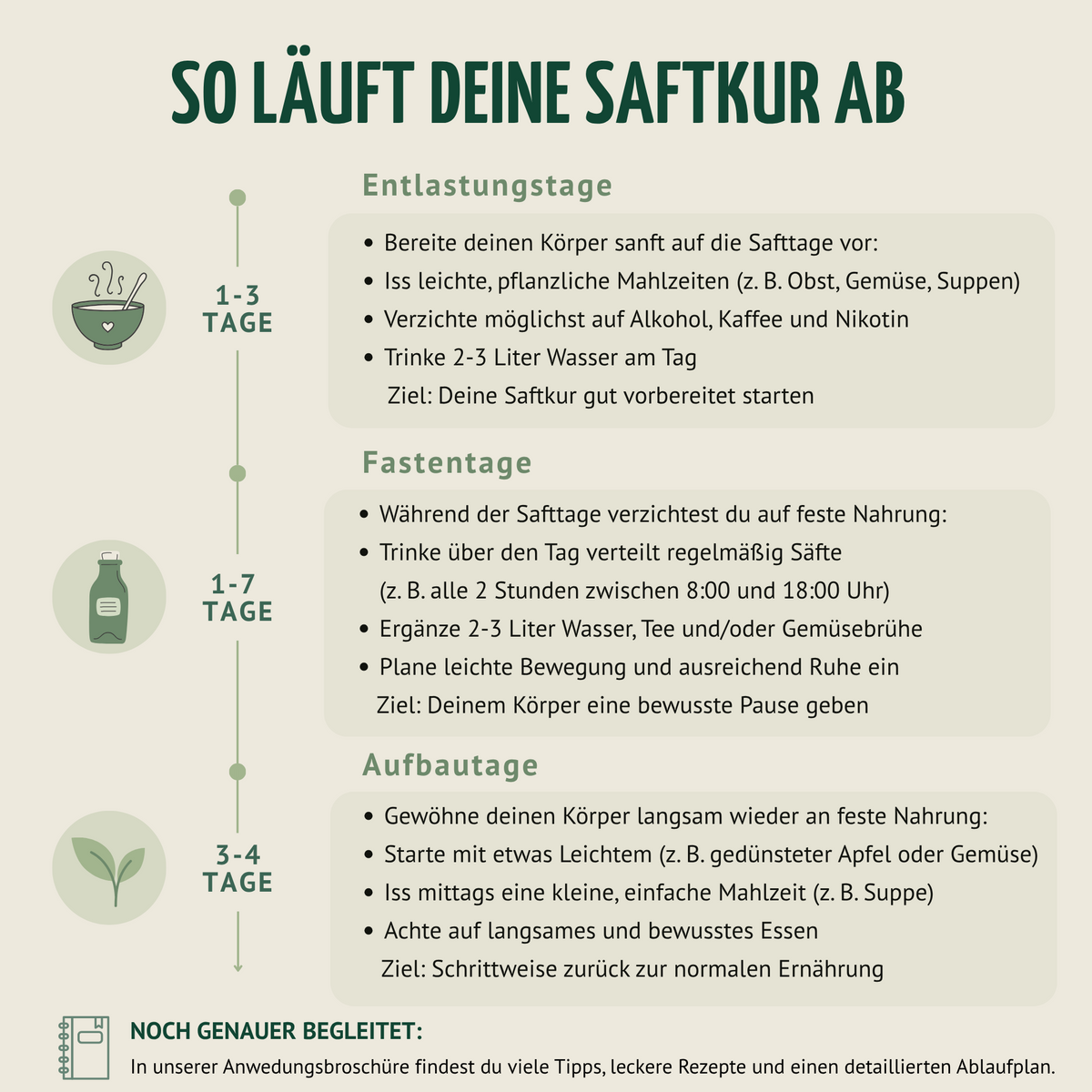 Kräuterwunder Bio Fastenkur 7 Tage (42 Flaschen)