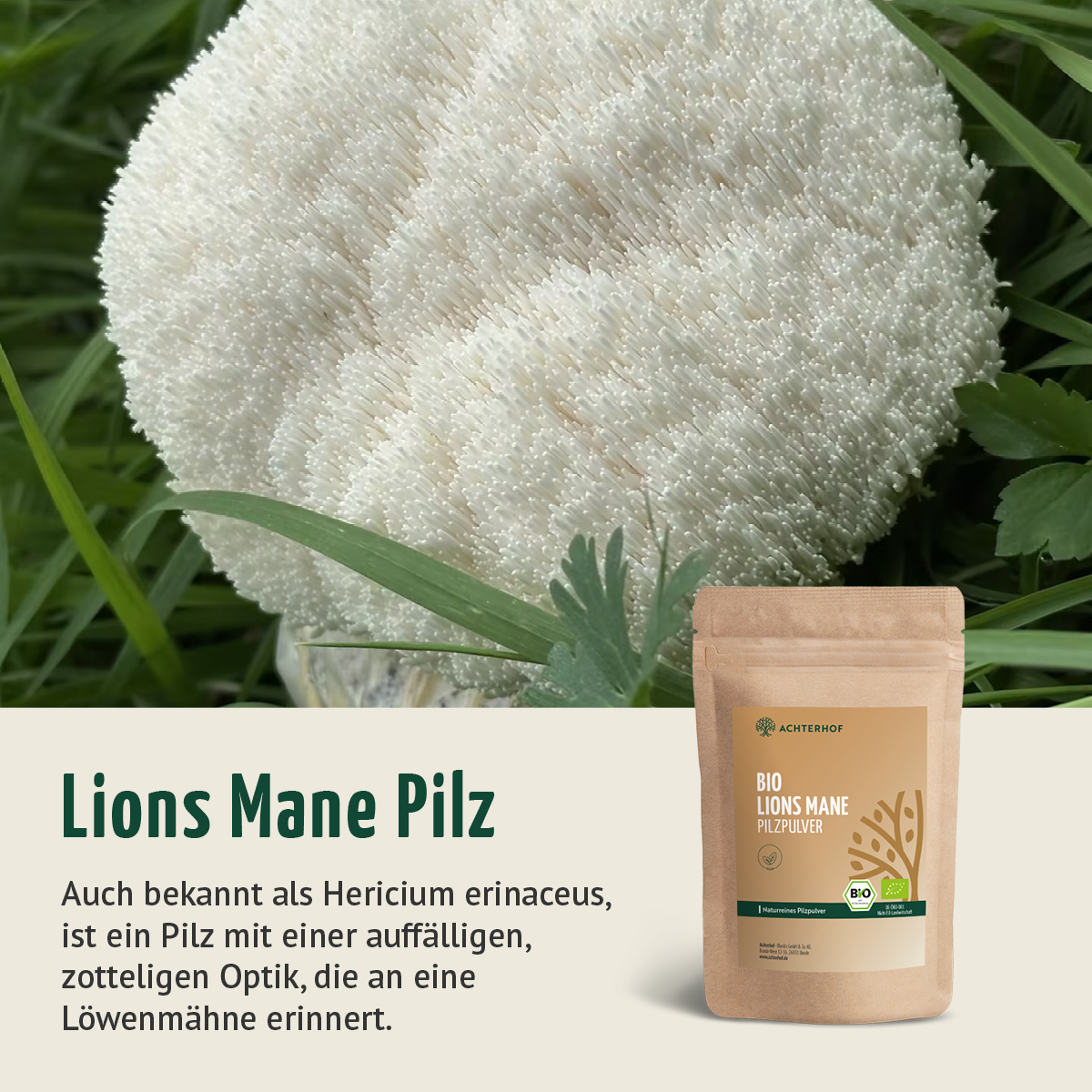 Bio Lions Mane Pilzpulver (250g)
