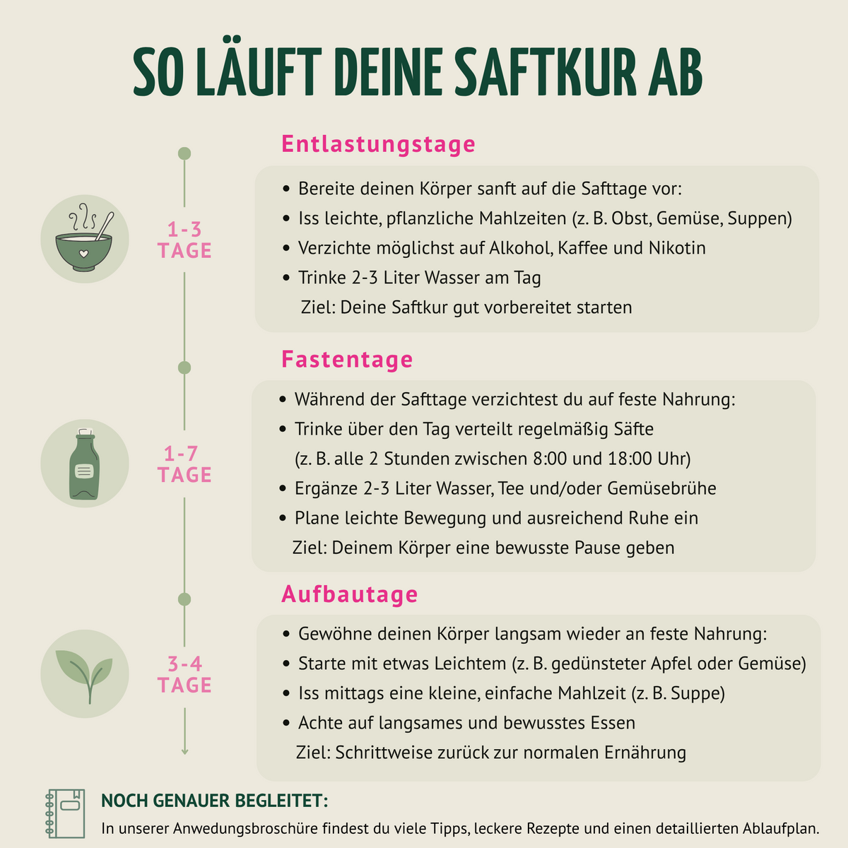Saftstart Bio Fastenkur 7 Tage (42 Flaschen)