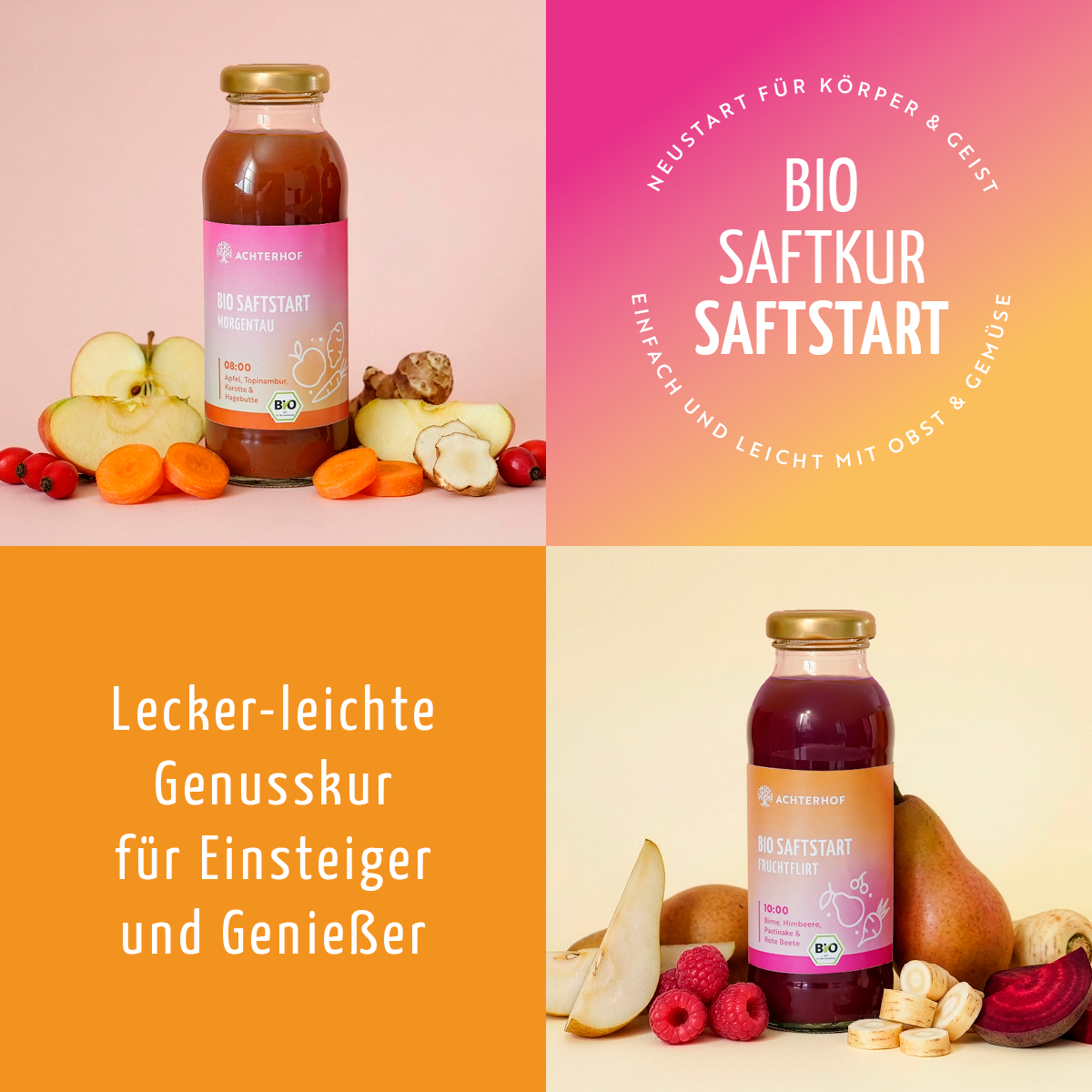 Saftstart Bio Fastenkur 3 Tage (18 Flaschen)