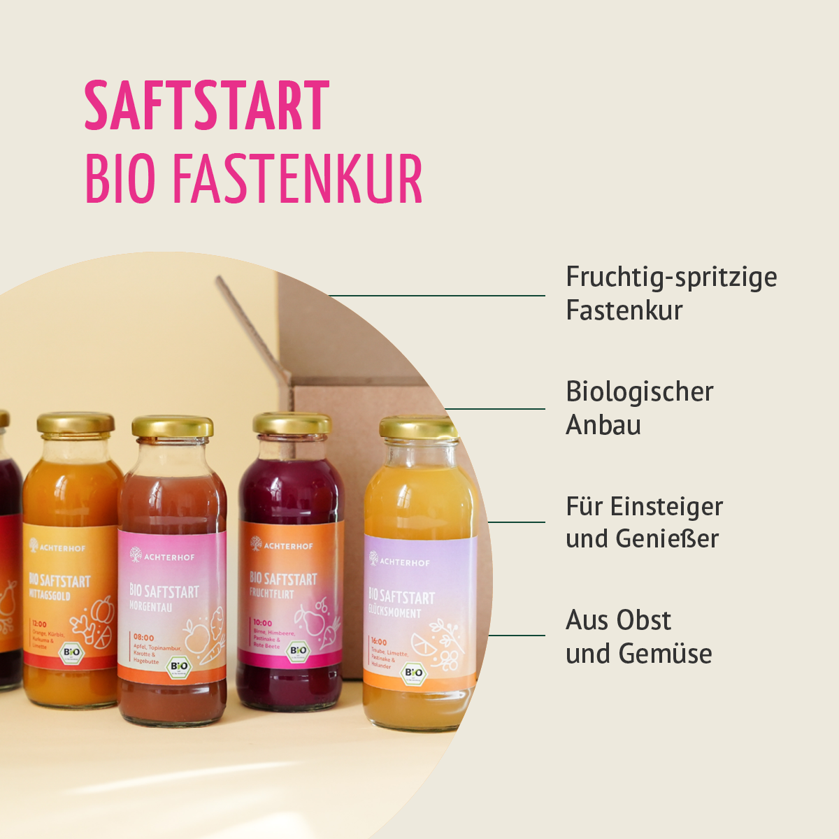 Saftstart Bio Fastenkur 7 Tage (42 Flaschen)
