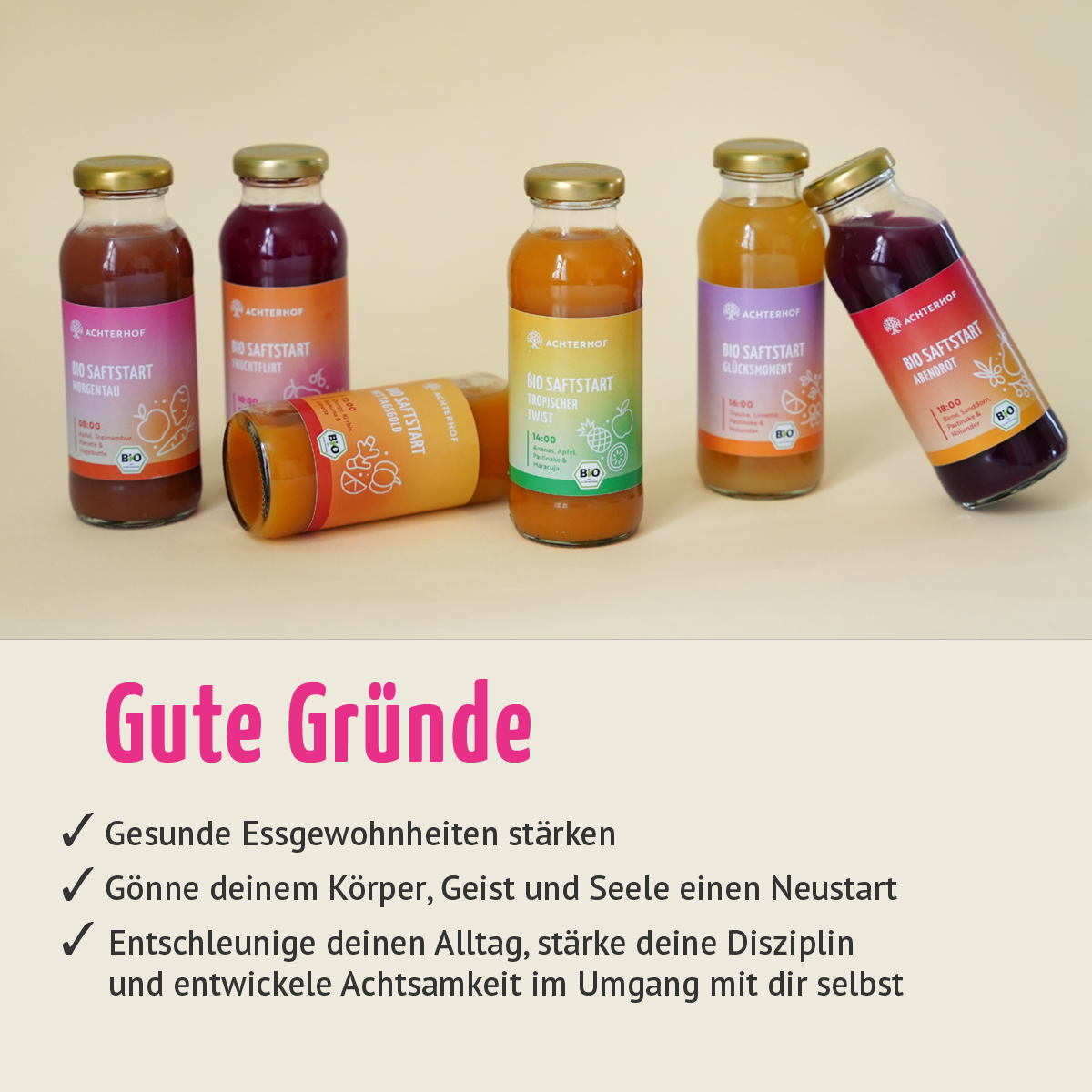 Saftstart Bio Fastenkur 7 Tage (42 Flaschen)