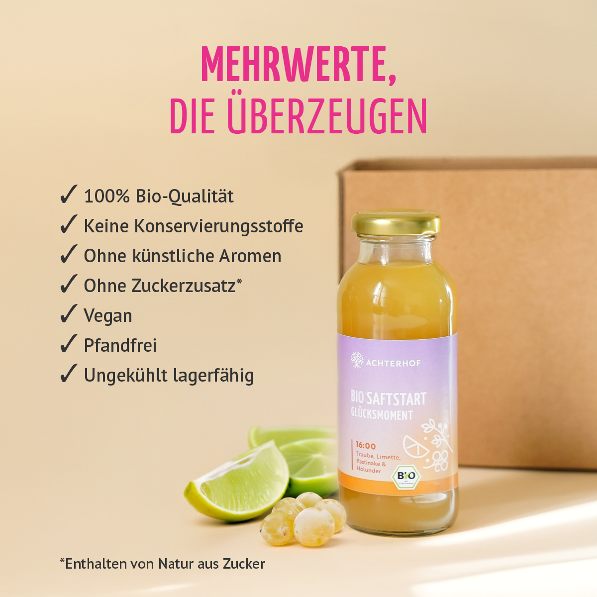 Saftstart Bio Fastenkur 7 Tage (42 Flaschen)