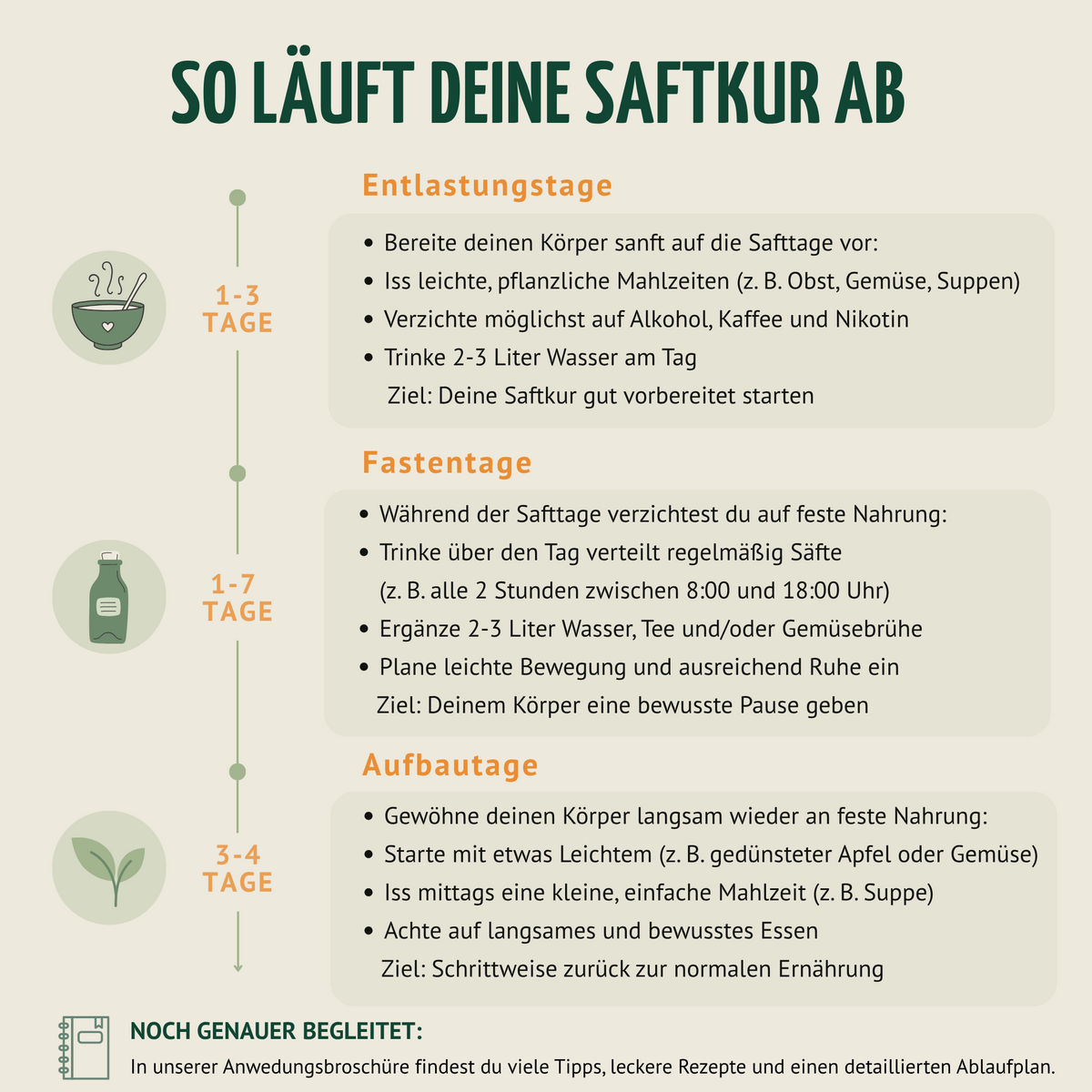 Saftzeit Bio Fastenkur 3 Tage (18 Flaschen)