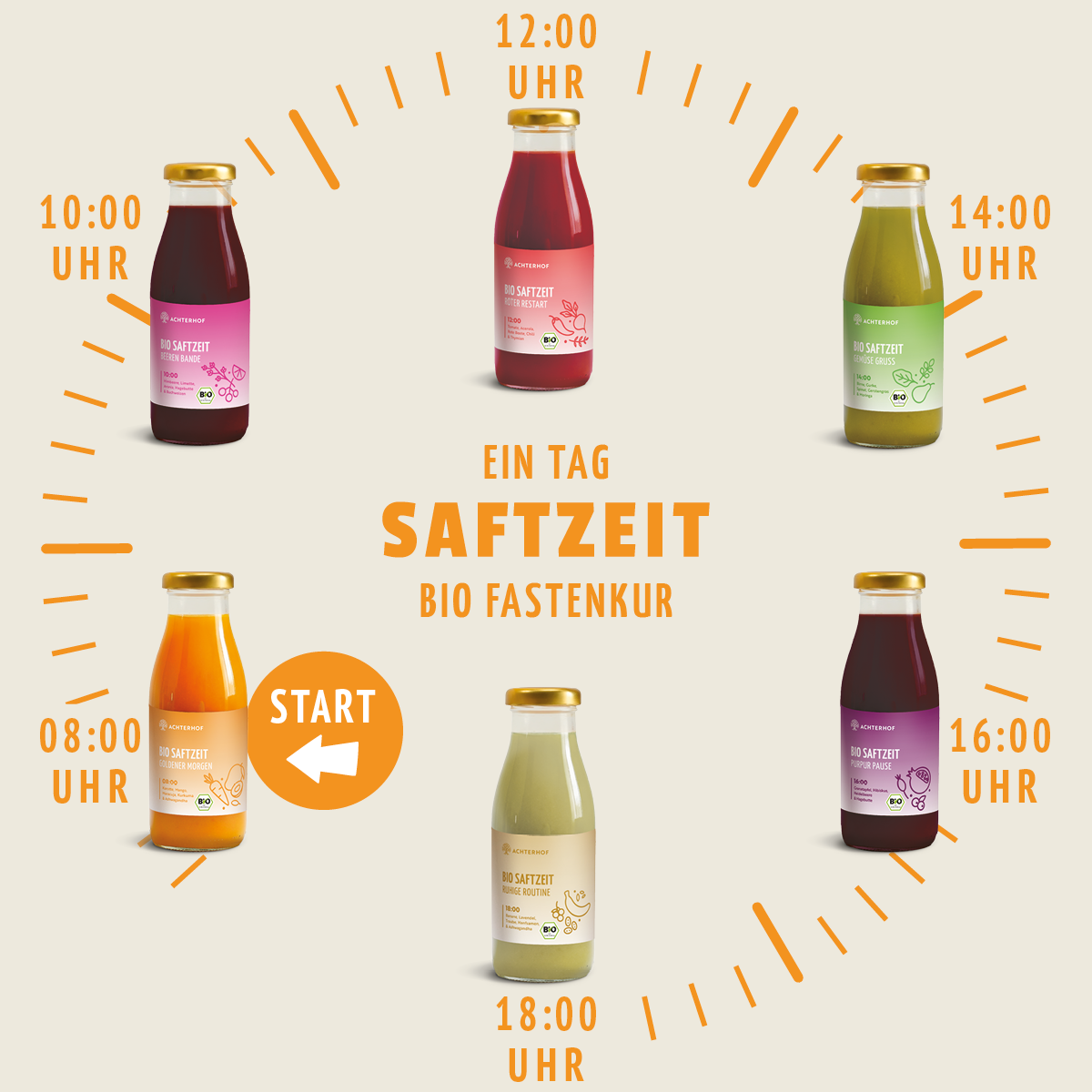 Fasten Mikronährstoff Paket