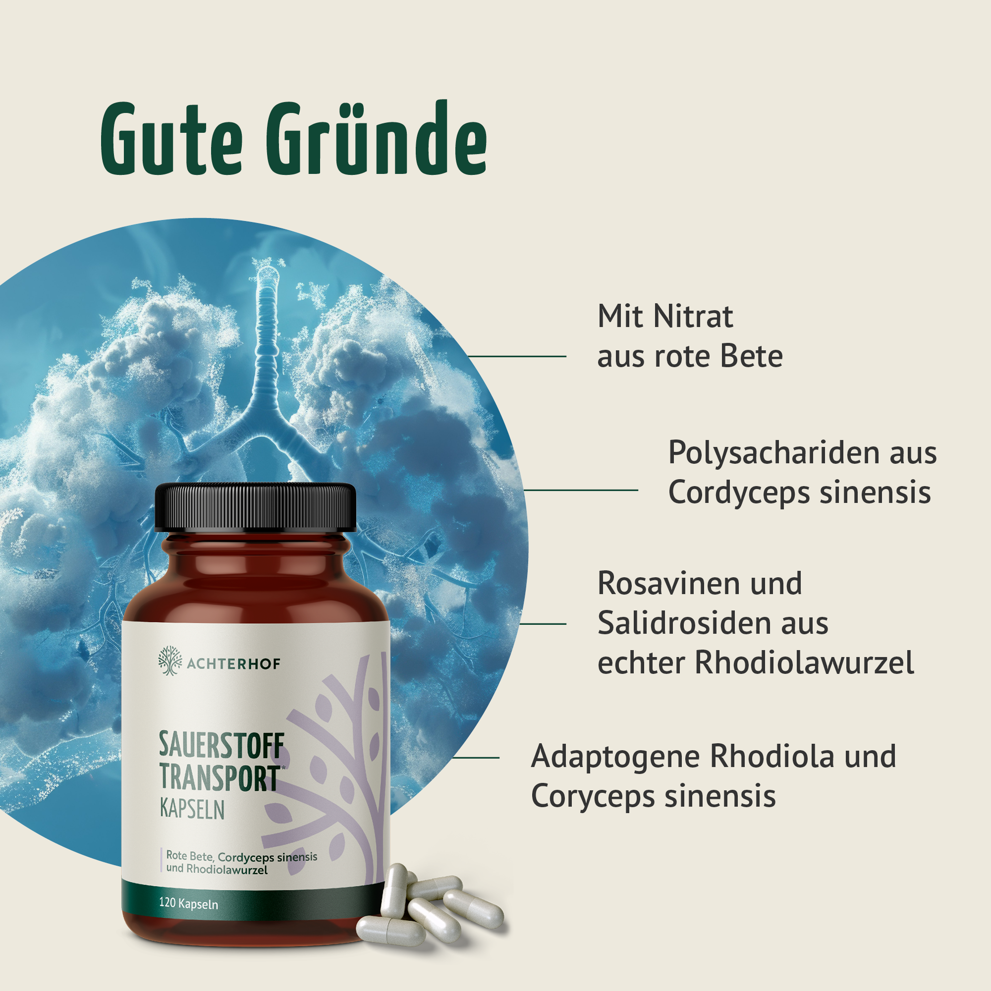 Sauerstoff Transport Kapseln (120 Kapseln)