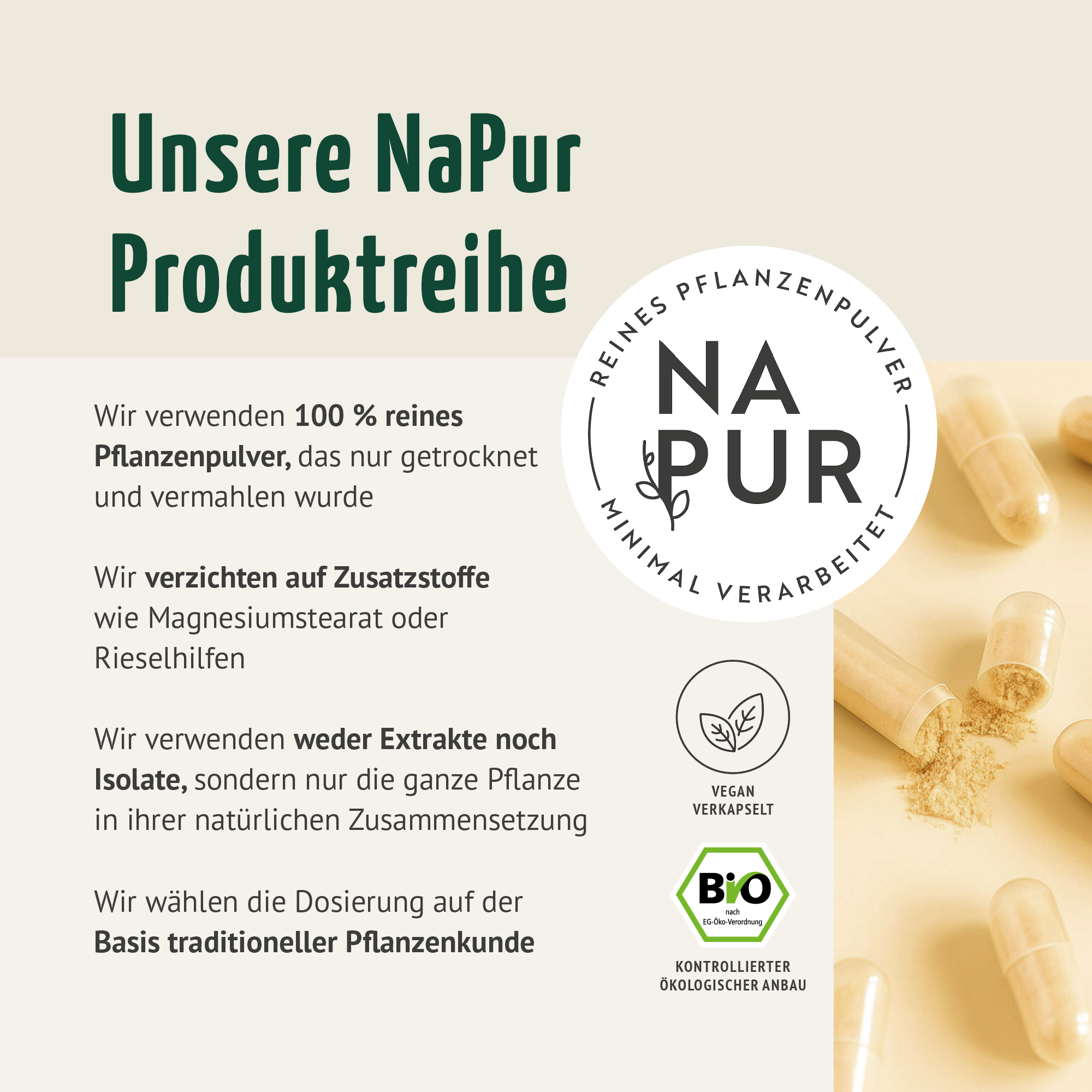 Bio Shatavari Kapseln Nachfüllpack (400 Kapseln)