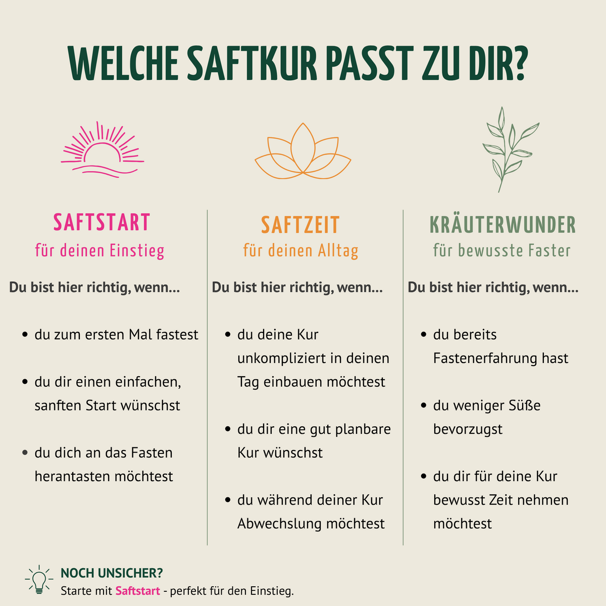Kräuterwunder Bio Fastenkur 7 Tage (42 Flaschen)