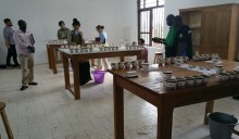DRC cupping
