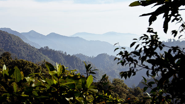 Mountain view from a coffee co-op in Mexico